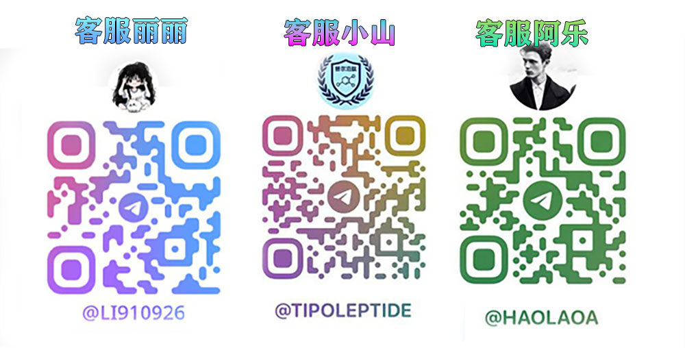 联系方式二维码