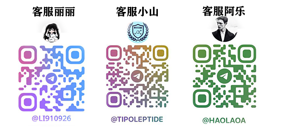 联系方式二维码